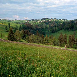Panorama okolicy Bukowina Tatrzańska